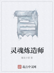 灵魂炼造师