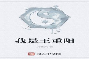 我是王重阳