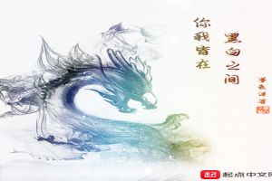 你我皆在黑白之间