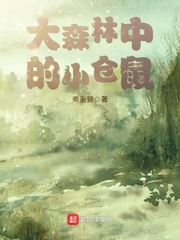 大森林中的小仓鼠