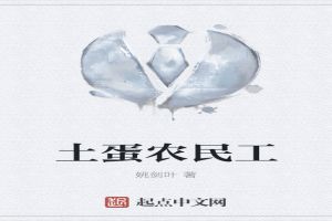 土蛋农民工