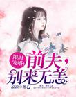 限时宠婚：前夫，别来无恙