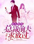 婚色缠绵：总裁前夫求放过