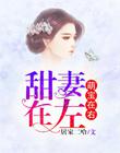 娇妻在左：萌宝在右