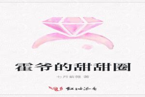 霍爷的甜甜圈