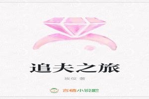 追夫之旅