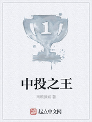中投之王