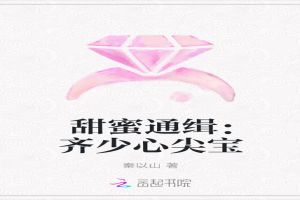 甜蜜通缉：齐少心尖宝