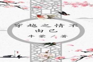 穿越之情不由已