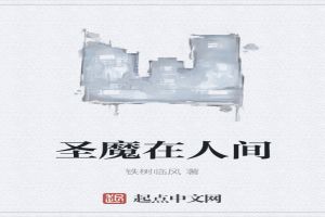 圣魔在人间