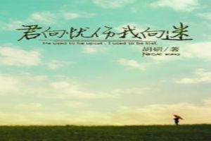 君向忧伤我向迷