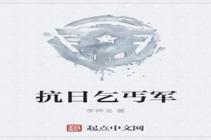 抗日乞丐军