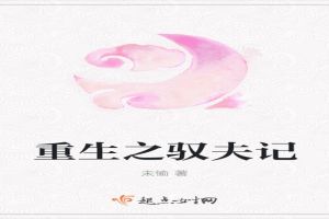 重生之驭夫记