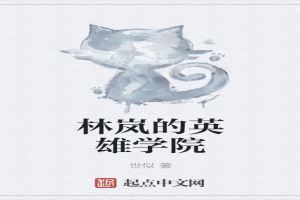 林岚的英雄学院