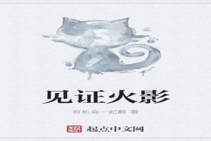 见证火影