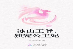 冰山王爷，独宠公主妃