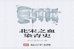 北宋之血染青史