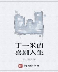 丁一米的喜剧人生