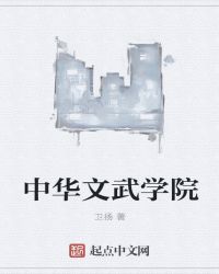 中华文武学院