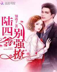 陆四爷，别强撩