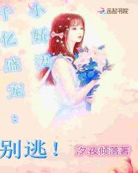 千亿盛宠：小娇妻，别逃！
