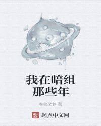 我在暗组那些年