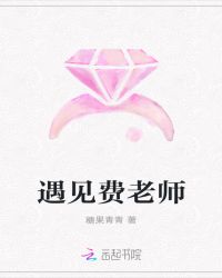 遇见费老师