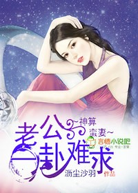 神算蛮妻，老公一卦难求