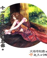 十一月的雨，我遇见你