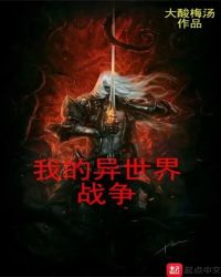 我的异世界战争