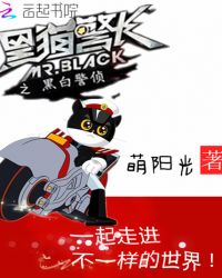 黑猫警长之黑白警侦