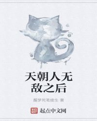 天朝人无敌之后