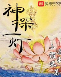 神探一灯