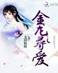 金龙寻爱
