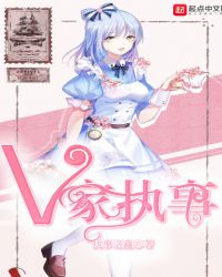 V家执事