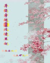 异能穿越之北境王妃