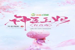 神医王妃，有点毒