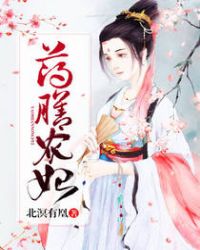 药膳农妃