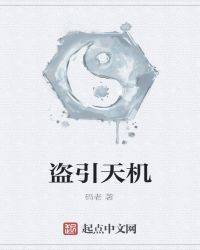 盗引天机