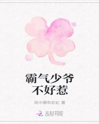 霸气少爷不好惹