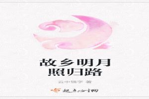 故乡明月照归路