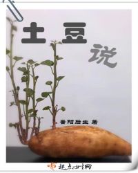 土豆说