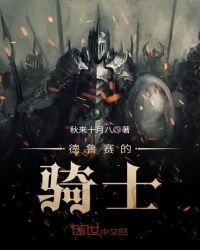 德鲁赛的骑士