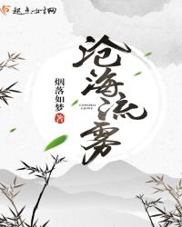 沧海流雾
