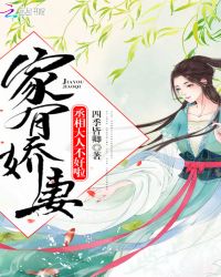 家有娇妻：丞相大人不好啦！