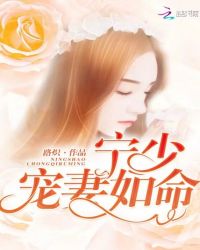 宁少，宠妻如命