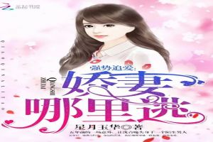 强势追爱：娇妻，哪里逃