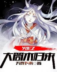 火影之大筒木归来