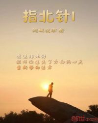指北针I