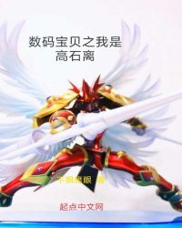 数码宝贝之我是高石离